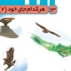 علوم سوم درس 13